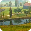 Managing Your Pond